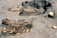 Descobrixen el cementeri d&#039;una desconeguda civilisacio en Peru.