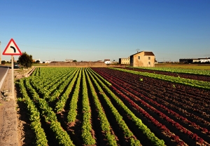 Horta de Valencia